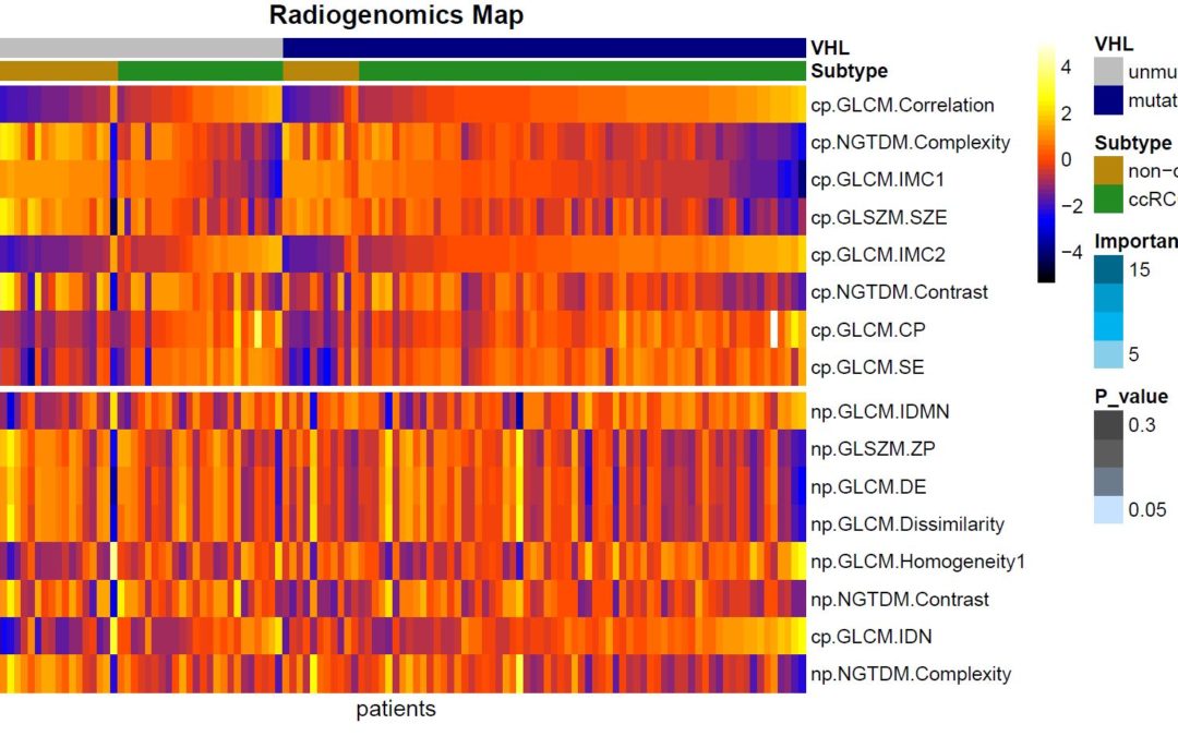 Differentiation of clear cell and non-clear cell renal cell carcinomas by all-relevant radiomics features from multiphase CT: a VHL mutation perspective